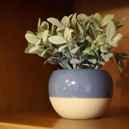 Azores Surf Center House Holiday home Ribeira Grande