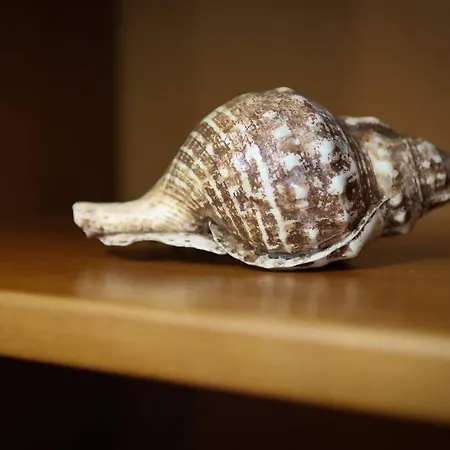 Holiday home Azores Surf Center House *