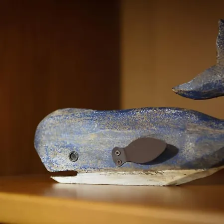 Azores Surf Center House Holiday home Ribeira Grande