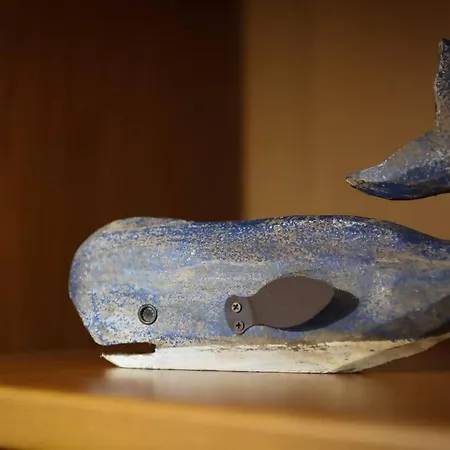 Azores Surf Center House Ribeira Grande