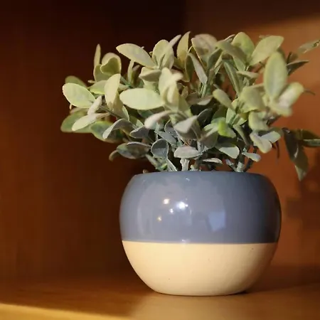 Azores Surf Center House Holiday home